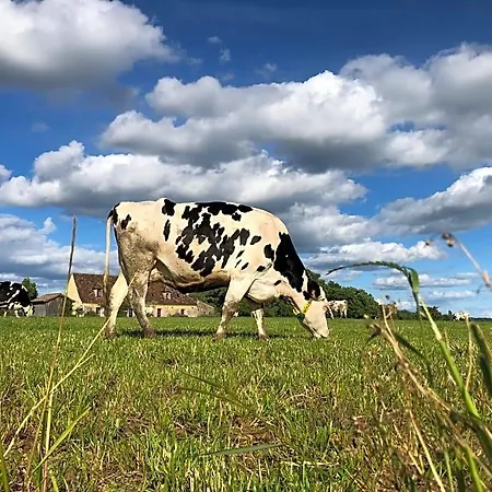 La Ferme De La Croix - D'hotes Avec Jacuzzi, Calme, Et Authenticite Saint-Avit-Sénieur